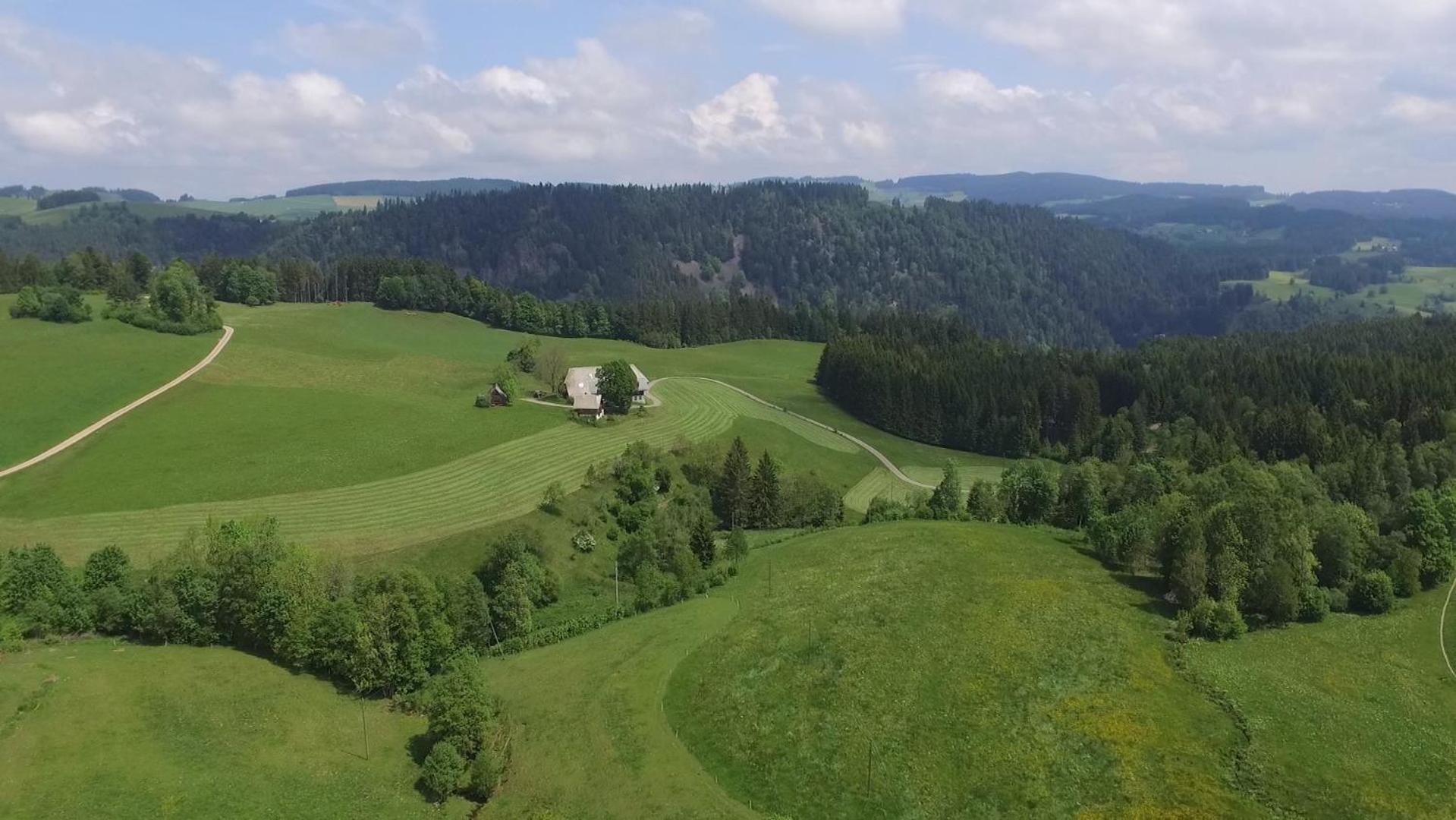 Ferienhaus Esche Hinterzarten Bagian luar foto