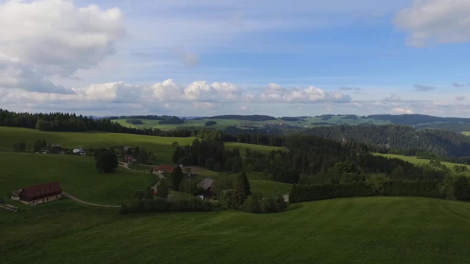 Ferienhaus Esche Hinterzarten Bagian luar foto