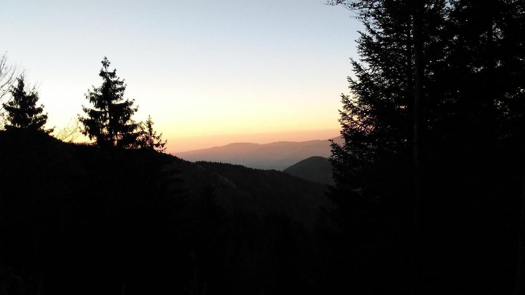 Ferienhaus Esche Hinterzarten Bagian luar foto