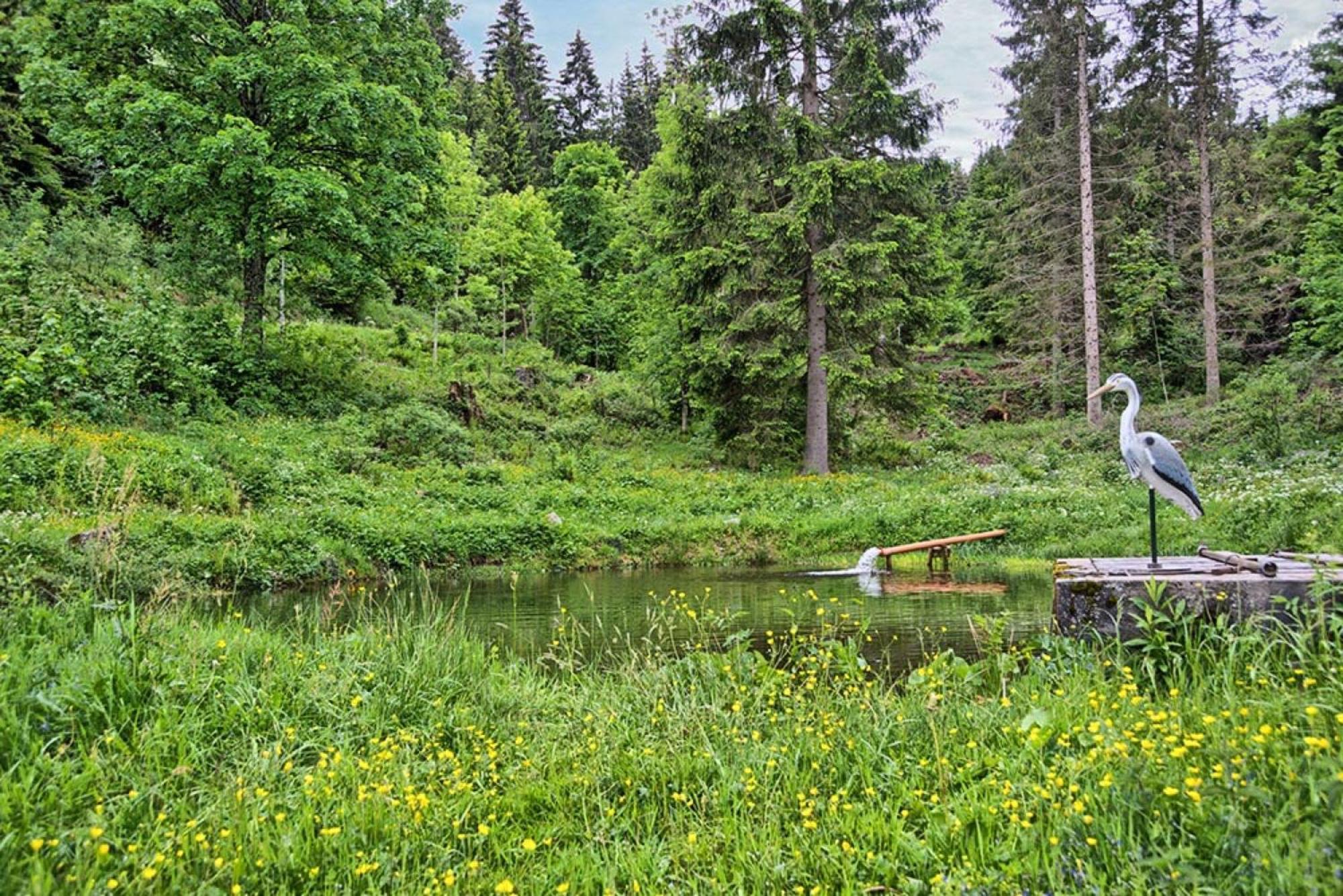 Ferienhaus Esche Hinterzarten Bagian luar foto