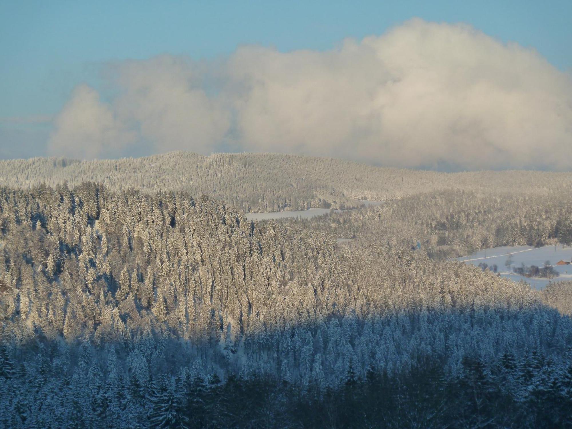 Ferienhaus Esche Hinterzarten Bagian luar foto