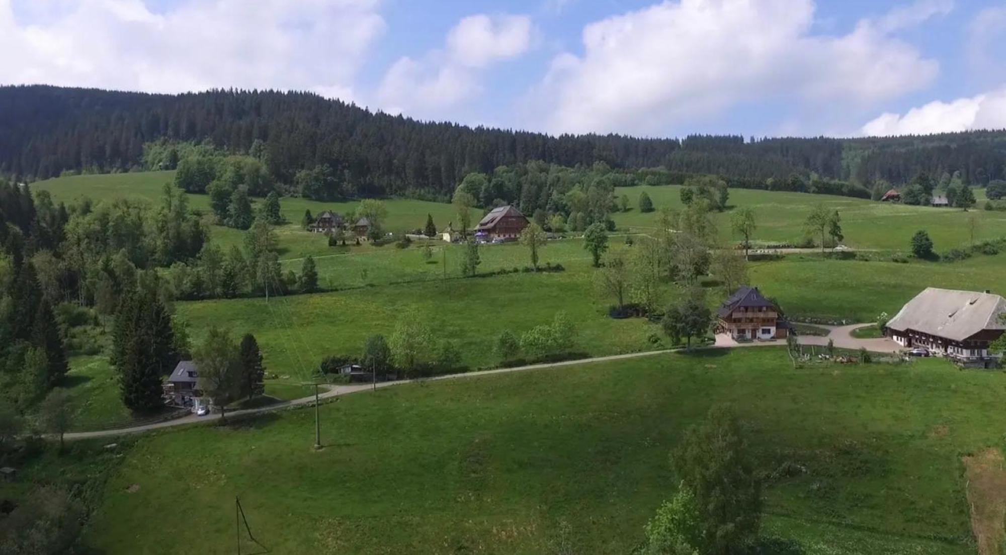 Ferienhaus Esche Hinterzarten Bagian luar foto