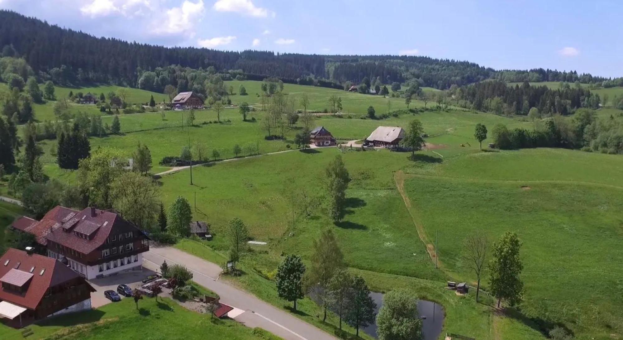 Ferienhaus Esche Hinterzarten Bagian luar foto