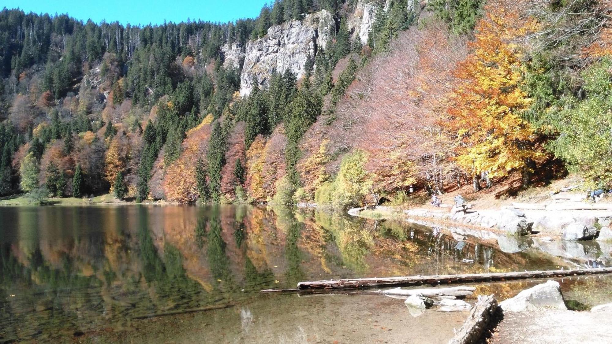 Ferienhaus Esche Hinterzarten Bagian luar foto
