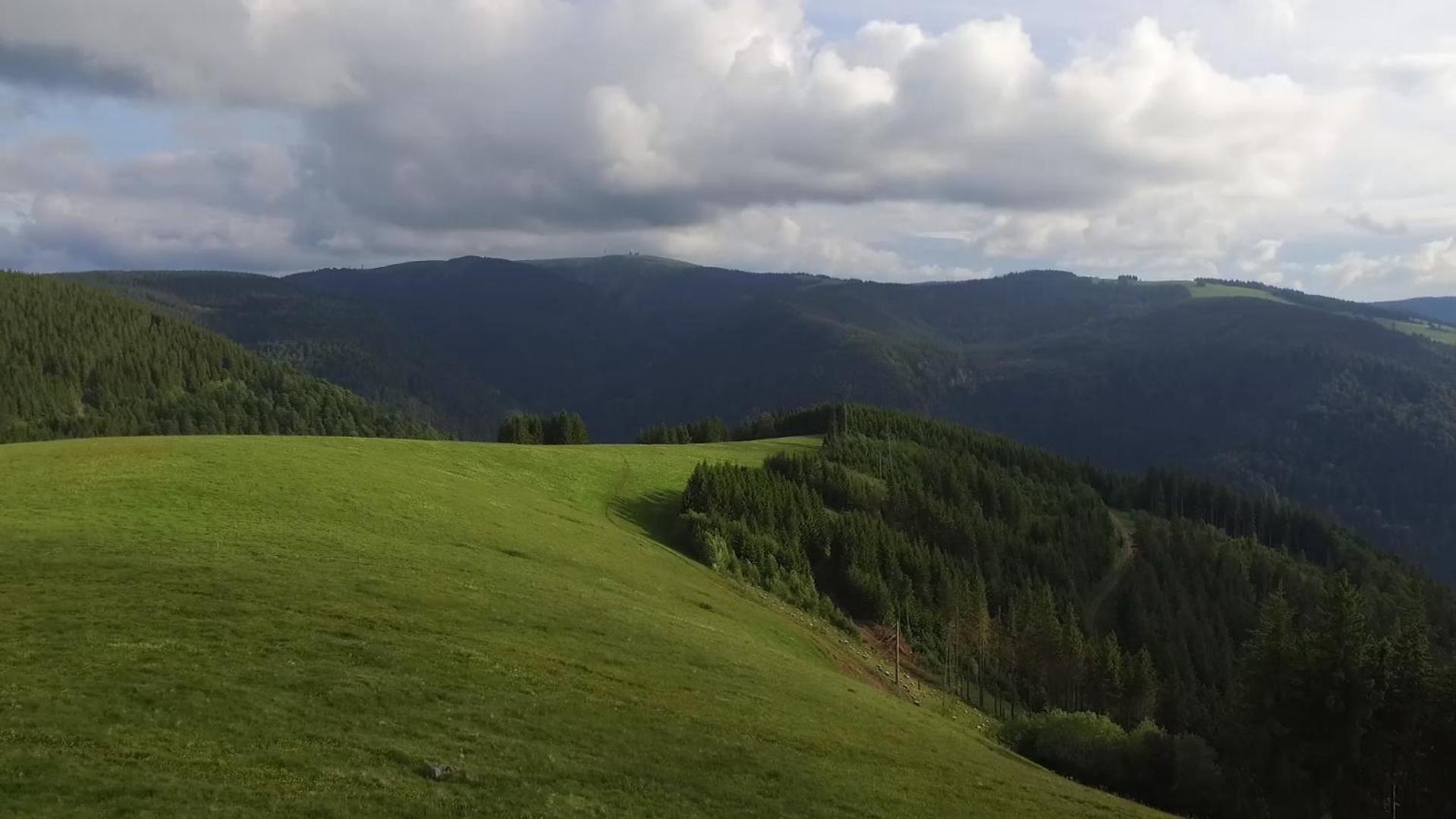 Ferienhaus Esche Hinterzarten Bagian luar foto