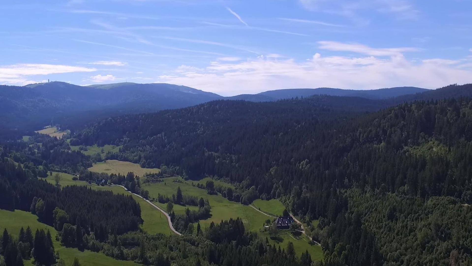 Ferienhaus Esche Hinterzarten Bagian luar foto