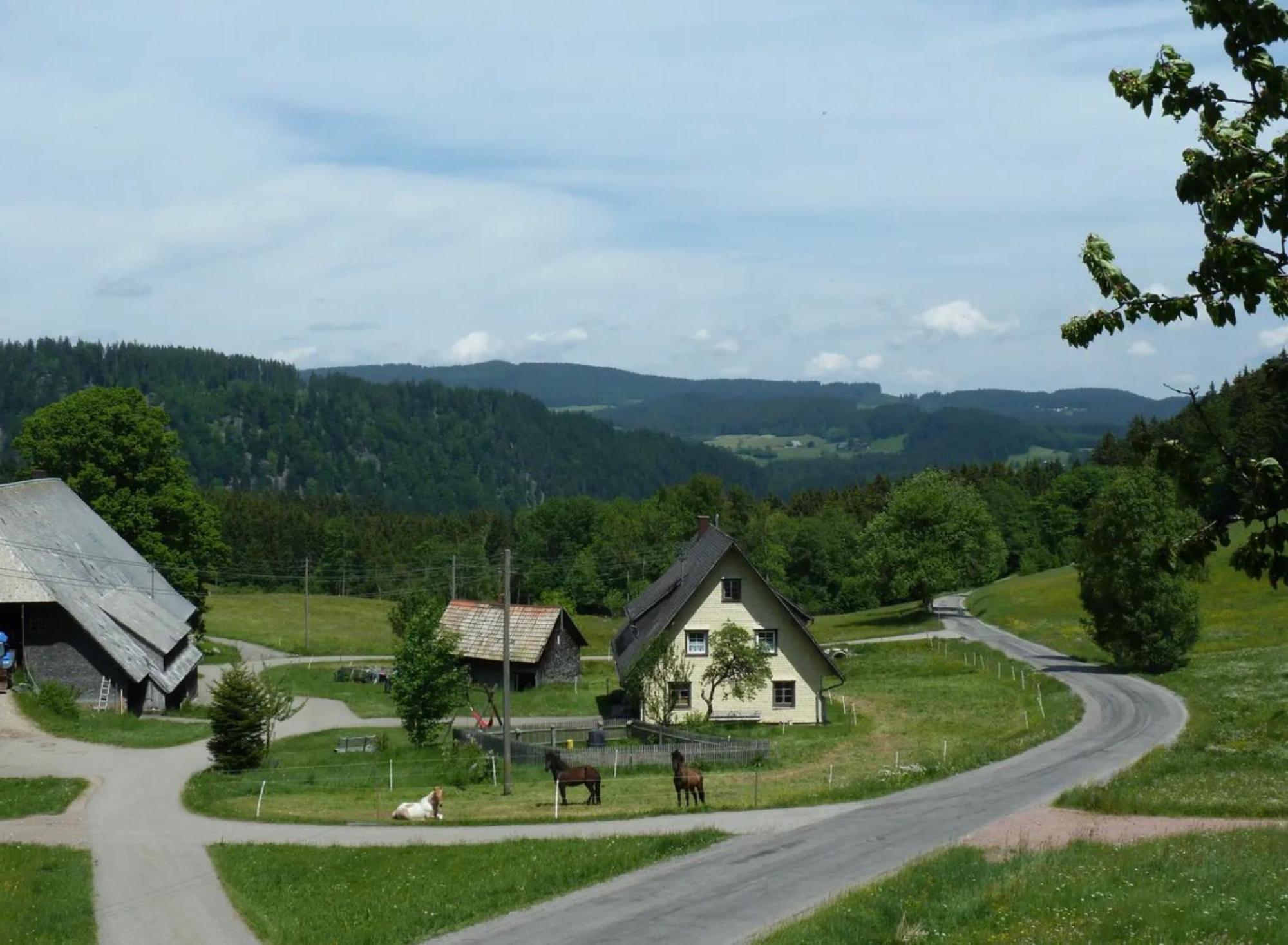Ferienhaus Esche Hinterzarten Bagian luar foto